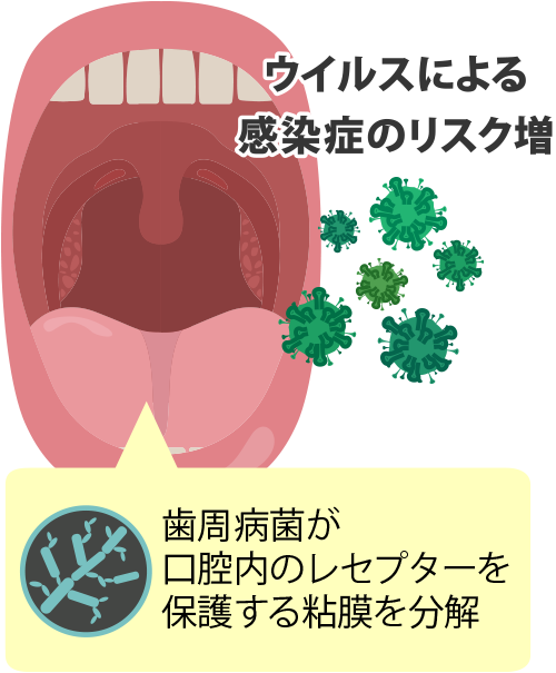 ウィルスの感染リスク