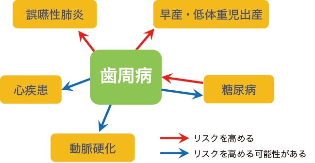 歯周病がリスクを高める全身疾患