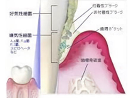 MTM02　説明・指導01