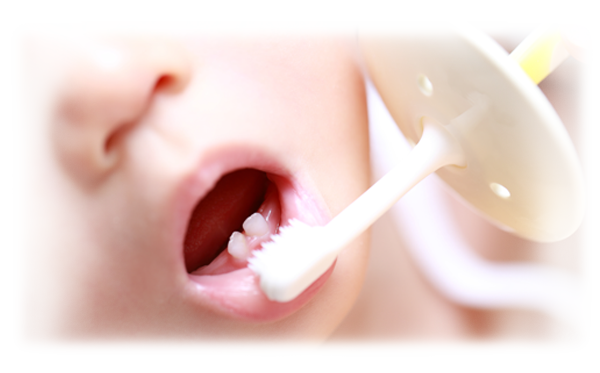 乳幼児と歯ブラシ