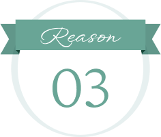 reason03